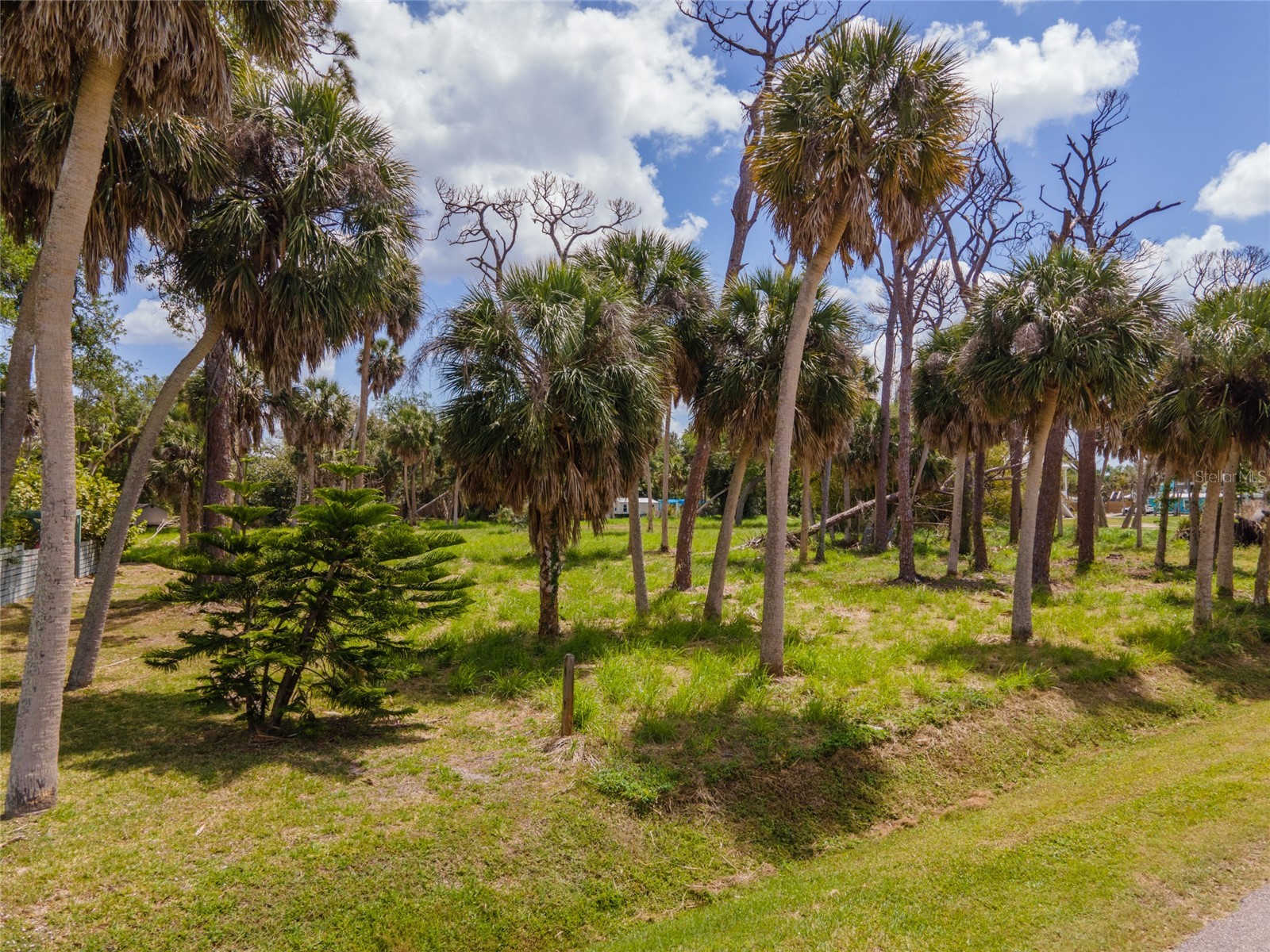 W Cowles Street Englewood FL 34223 D6146871 image4