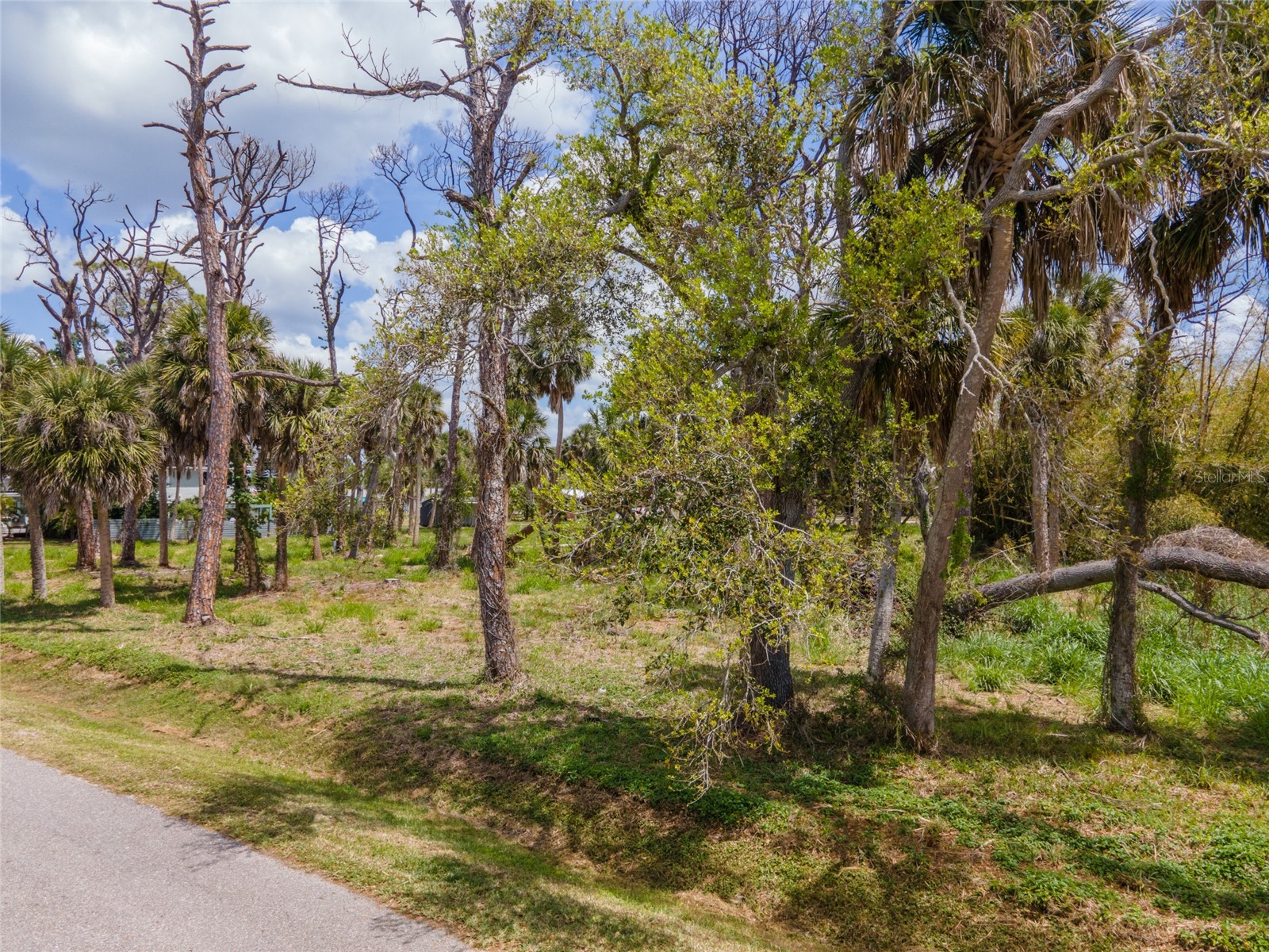 W Cowles Street Englewood FL 34223 D6146871 image6