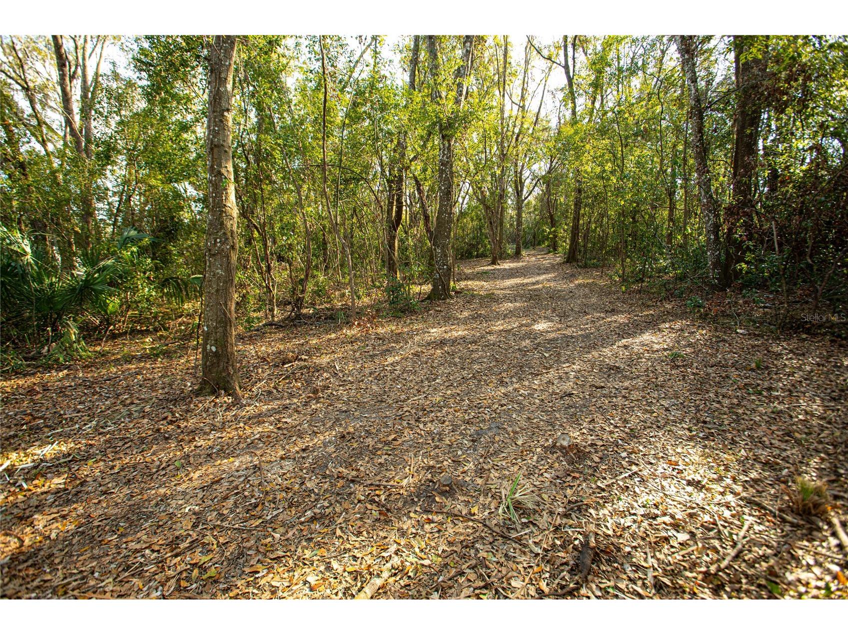 W Dr M L King Jr Boulevard Brooksville FL 34601 TB8468906 image11
