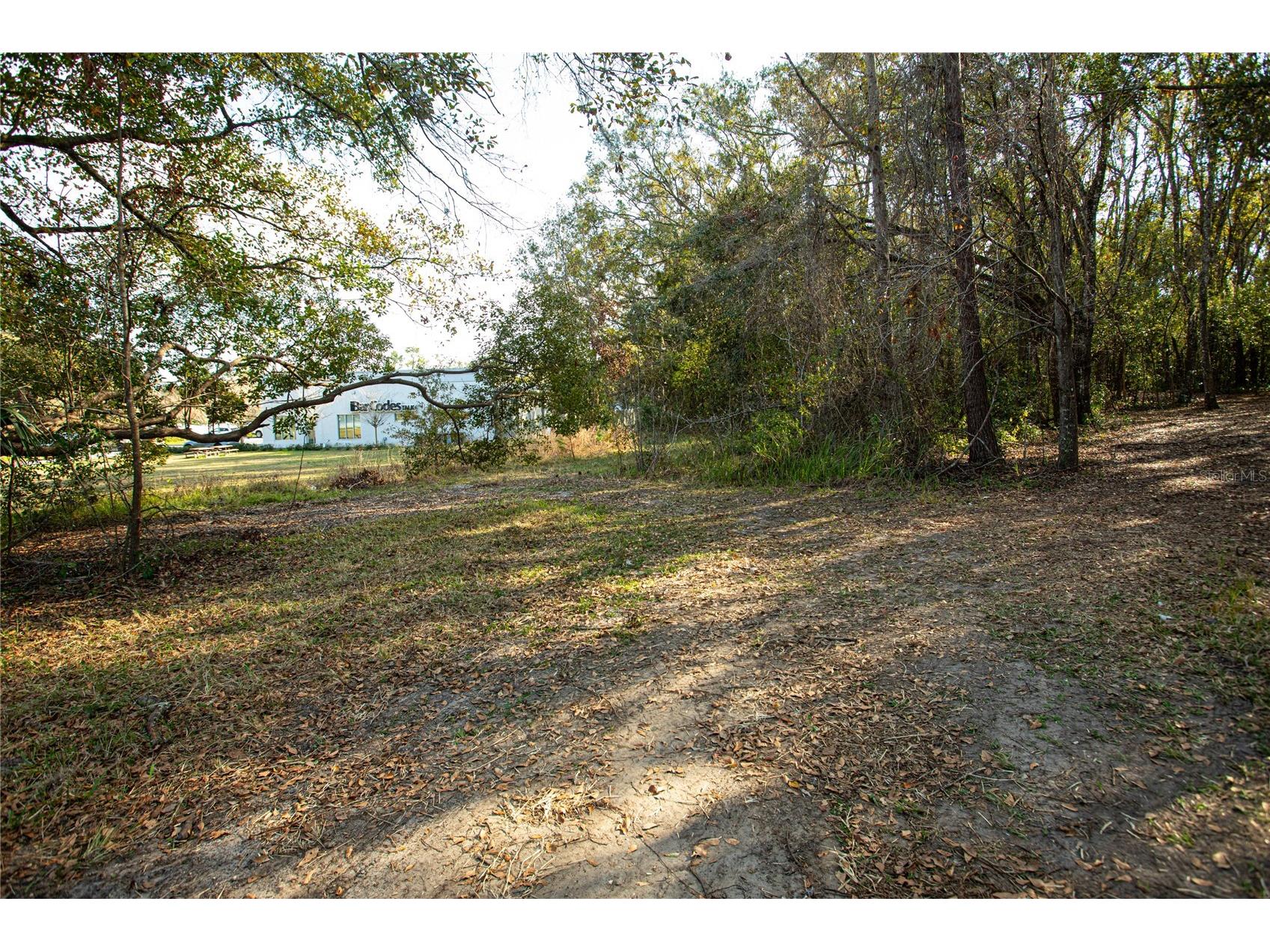 W Dr M L King Jr Boulevard Brooksville FL 34601 TB8468906 image8
