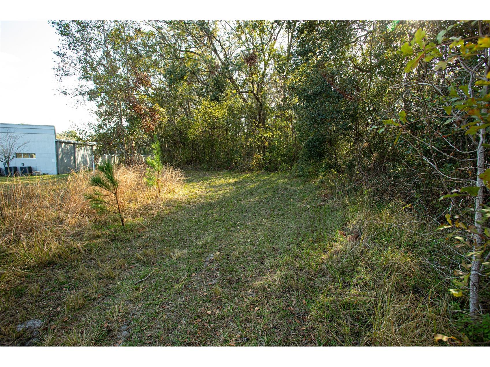W Dr M L King Jr Boulevard Brooksville FL 34601 TB8468906 image9