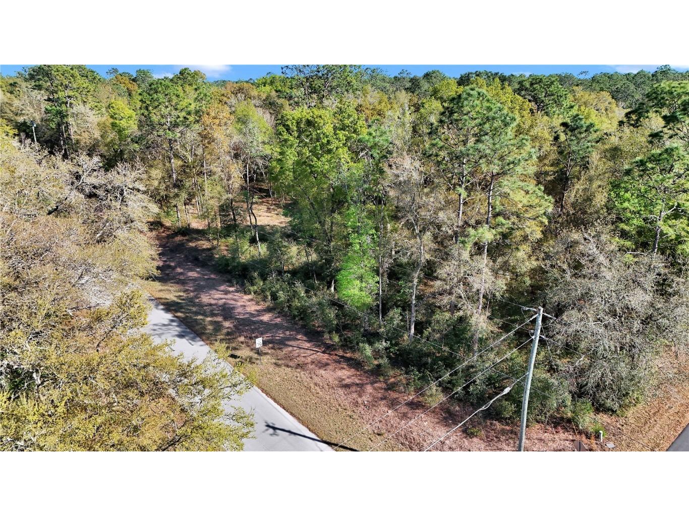 W Dunnellon Road Dunnellon FL 34431 O6291383 image1