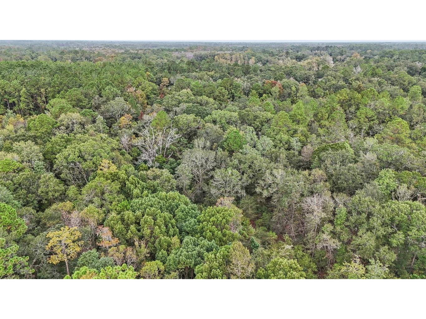 W Edwards Road Starke FL 32091 TB8445827 image8