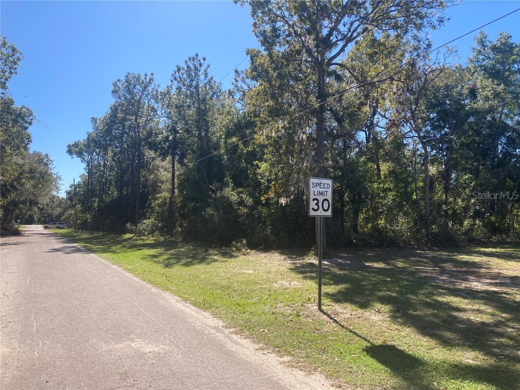 W Eighth Avenue Umatilla FL 32784 O6259837 image1