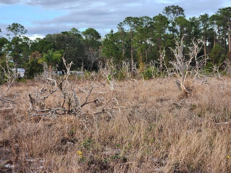 W Frostproof Road #LOT 10 Frostproof FL 33843 G5083162 image11