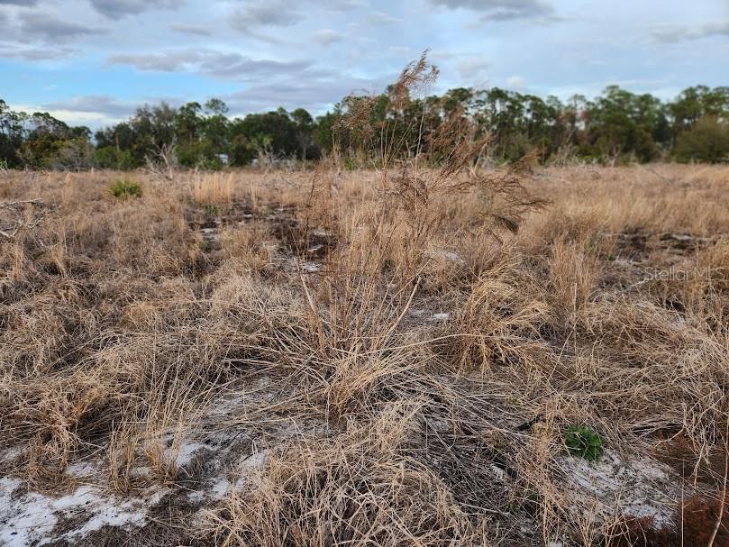 W Frostproof Road #LOT 10 Frostproof FL 33843 G5083162 image12