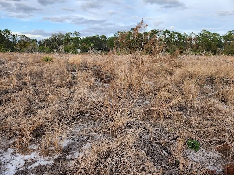 W Frostproof Road #LOT 10 Frostproof FL 33843 G5083162 image13