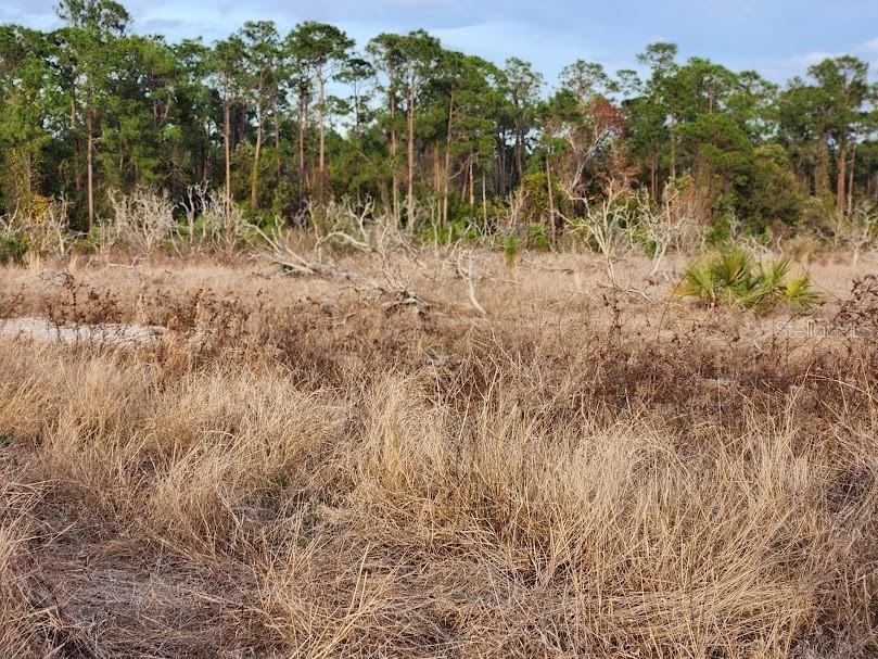 W Frostproof Road #LOT 10 Frostproof FL 33843 G5083162 image15