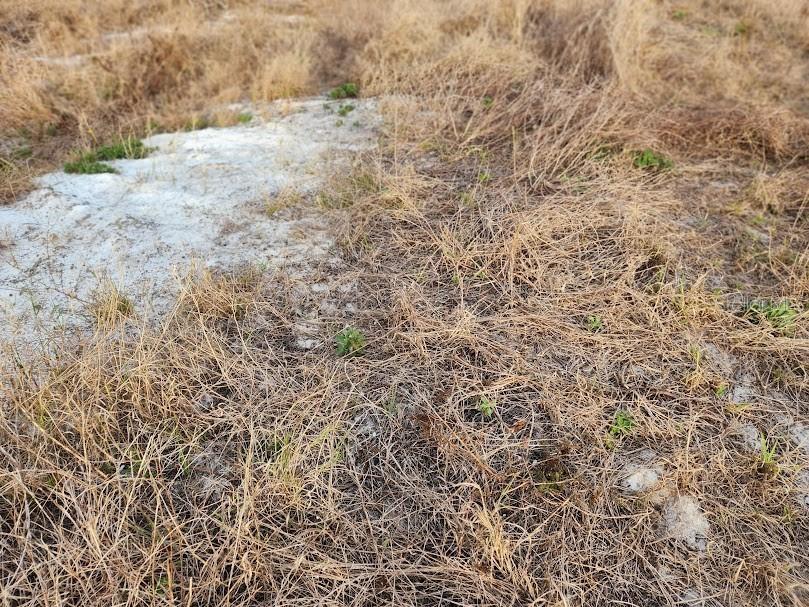 W Frostproof Road #LOT 10 Frostproof FL 33843 G5083162 image17