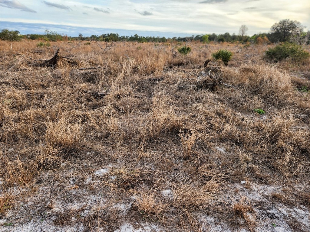 W Frostproof Road #LOT 10 Frostproof FL 33843 G5083162 image19