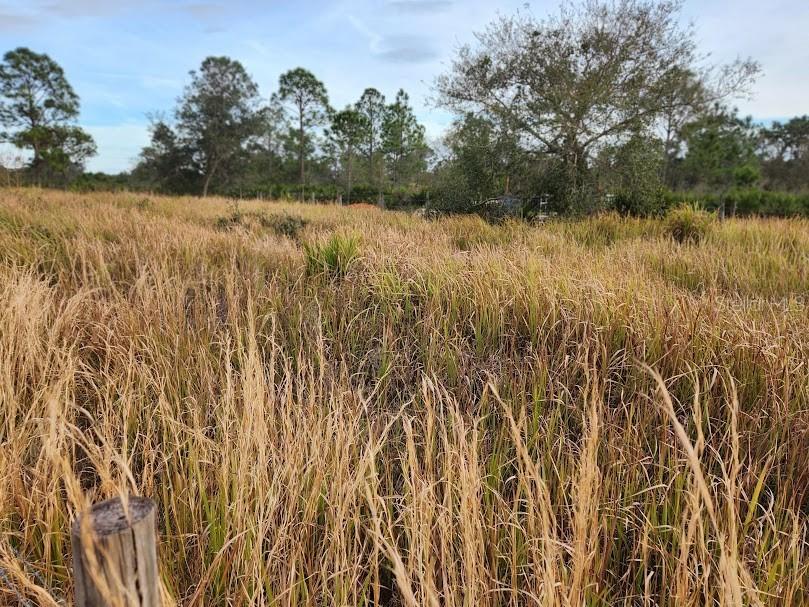 W Frostproof Road #LOT 10 Frostproof FL 33843 G5083162 image20