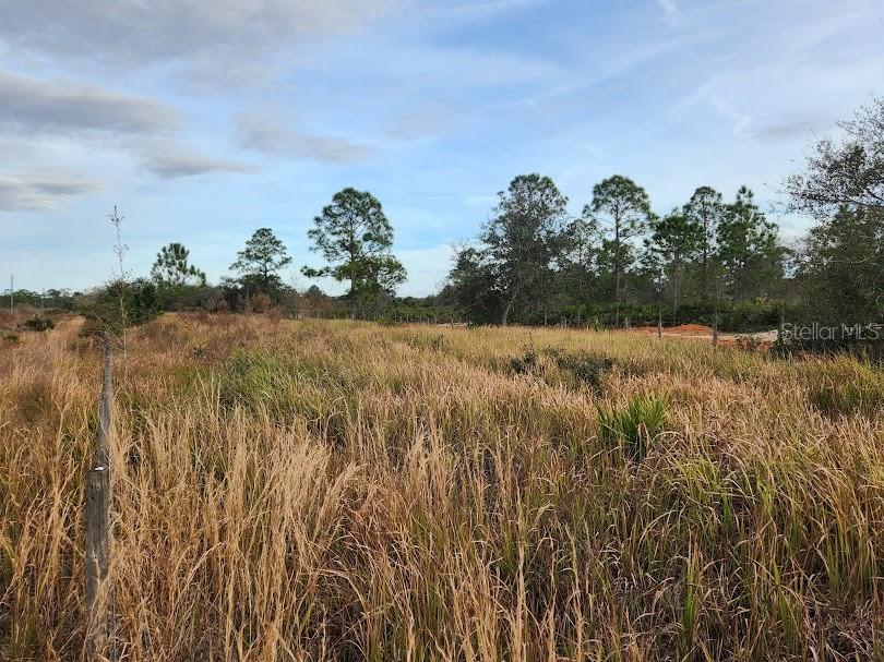 W Frostproof Road #LOT 10 Frostproof FL 33843 G5083162 image21