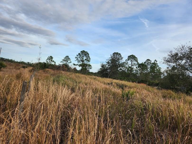 W Frostproof Road #LOT 10 Frostproof FL 33843 G5083162 image22