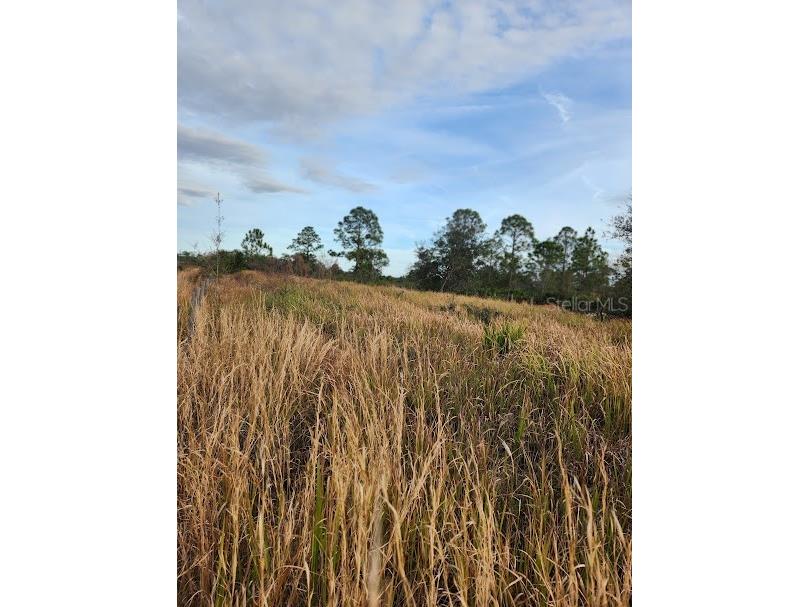 W Frostproof Road #LOT 10 Frostproof FL 33843 G5083162 image23