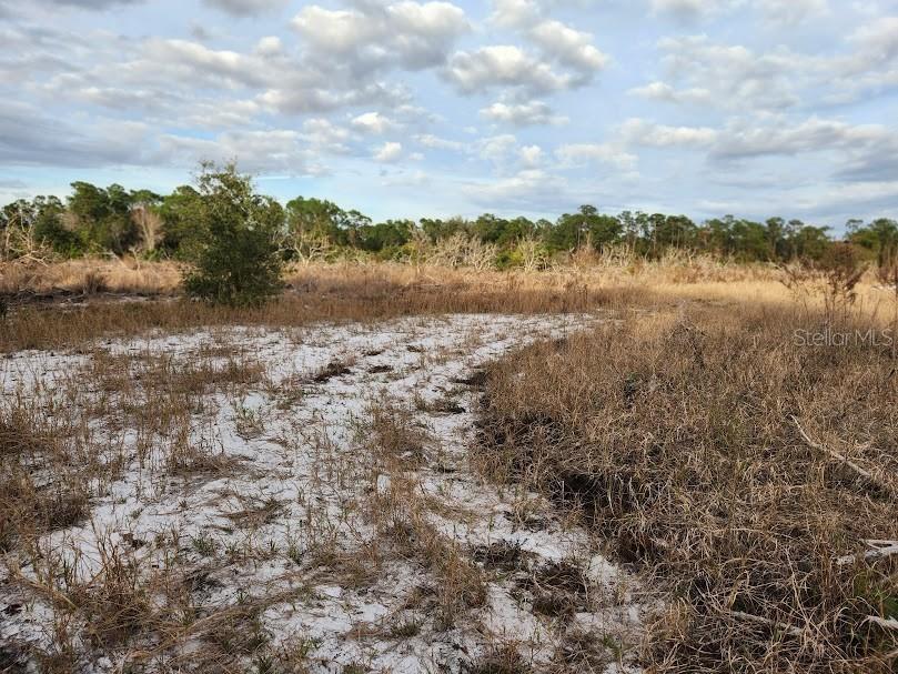 W Frostproof Road #LOT 10 Frostproof FL 33843 G5083162 image36