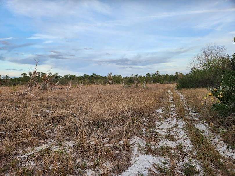 W Frostproof Road #LOT 10 Frostproof FL 33843 G5083162 image37