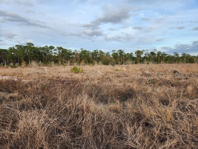 W Frostproof Road #LOT 10 Frostproof FL 33843 G5083162 image5