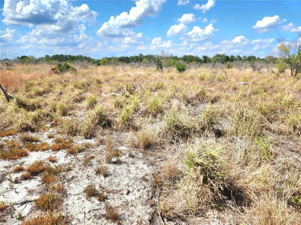 W Frostproof Road #LOT 10 Frostproof FL 33843 G5083162 image8