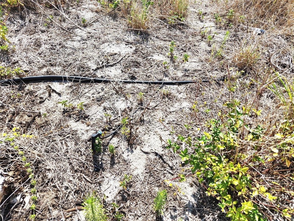 W Frostproof Road #LOT 10 Frostproof FL 33843 G5083162 image9