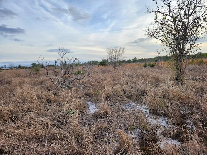 W Frostproof Road #LOT 11 Frostproof FL 33843 G5091720 image19