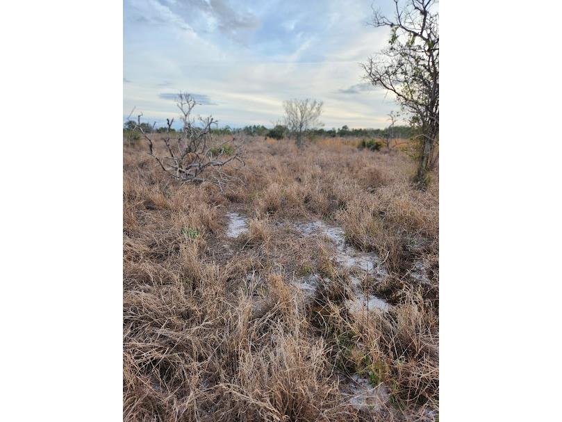 W Frostproof Road #LOT 11 Frostproof FL 33843 G5091720 image20