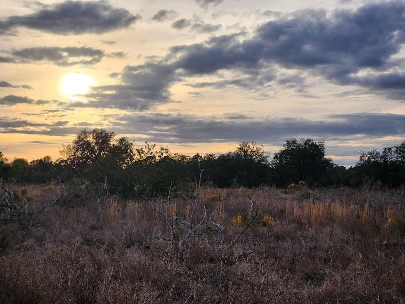 W Frostproof Road #LOT 11 Frostproof FL 33843 G5091720 image22