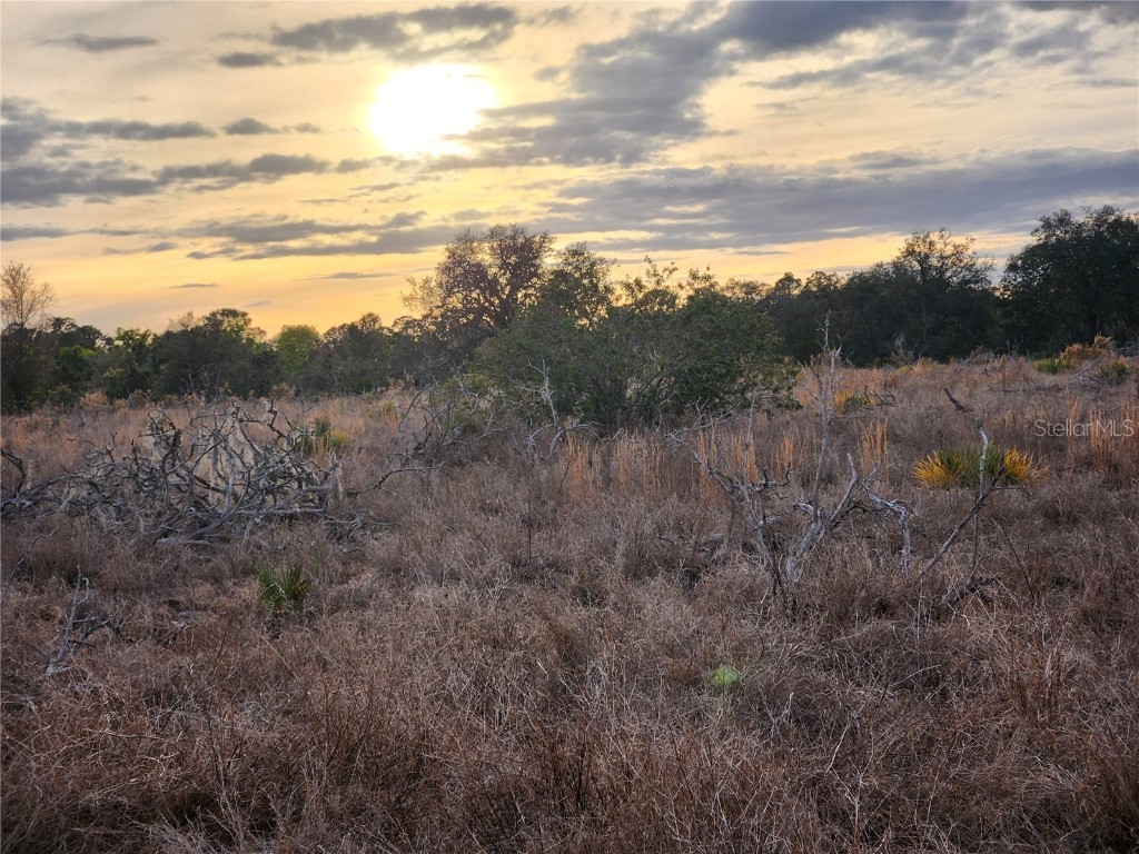 W Frostproof Road #LOT 11 Frostproof FL 33843 G5091720 image23