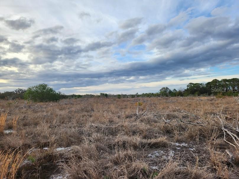 W Frostproof Road #LOT 11 Frostproof FL 33843 G5091720 image26