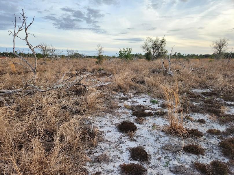 W Frostproof Road #LOT 11 Frostproof FL 33843 G5091720 image27