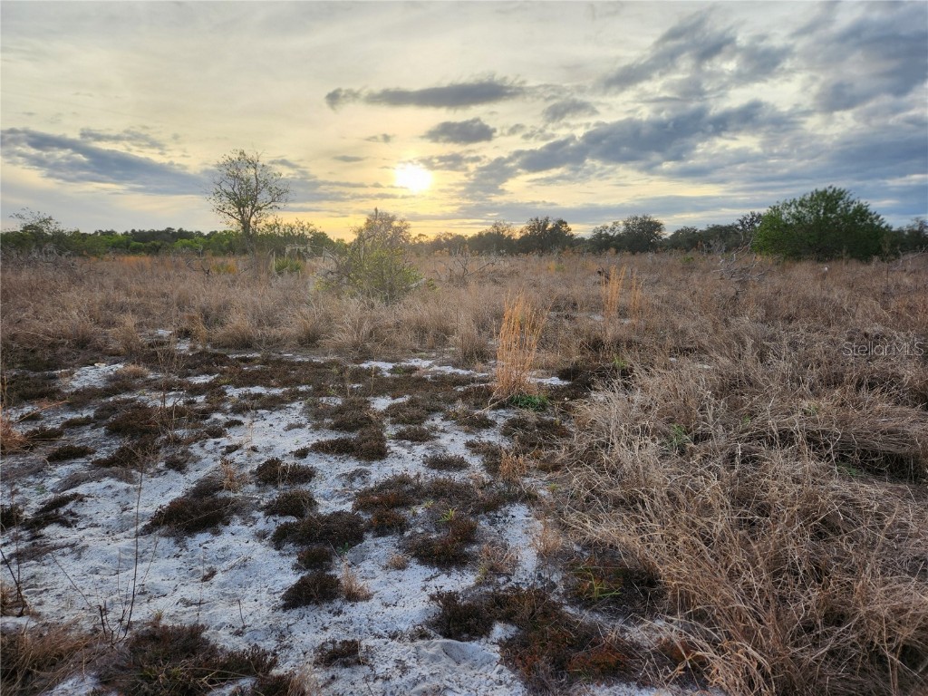 W Frostproof Road #LOT 11 Frostproof FL 33843 G5091720 image28