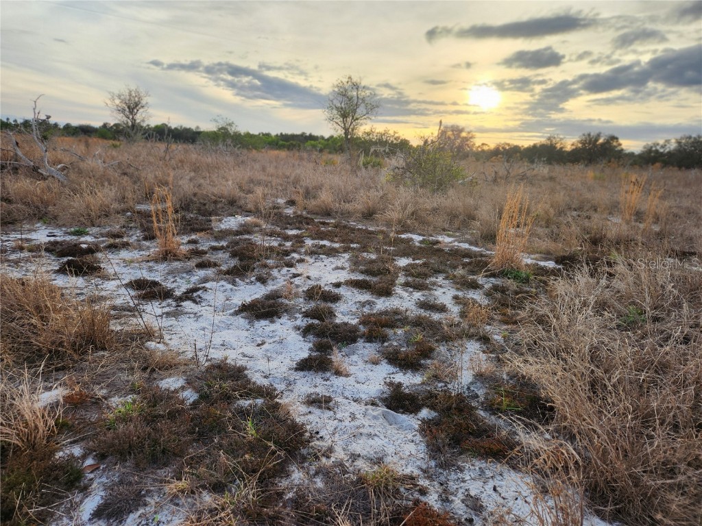 W Frostproof Road #LOT 11 Frostproof FL 33843 G5091720 image3