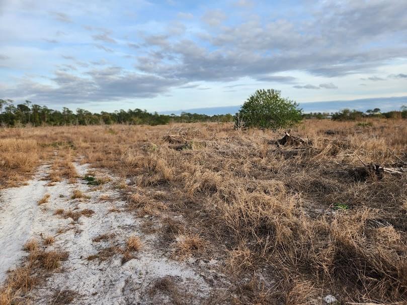 W Frostproof Road #LOT 12 Frostproof FL 33843 G5091858 image13