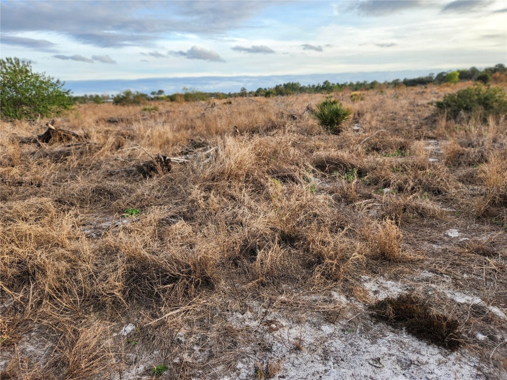 W Frostproof Road #LOT 12 Frostproof FL 33843 G5091858 image16