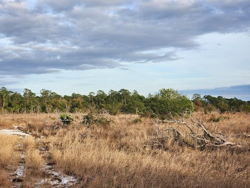 W Frostproof Road #LOT 12 Frostproof FL 33843 G5091858 image17