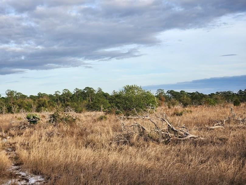 W Frostproof Road #LOT 12 Frostproof FL 33843 G5091858 image18