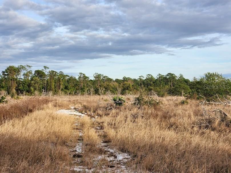 W Frostproof Road #LOT 12 Frostproof FL 33843 G5091858 image19