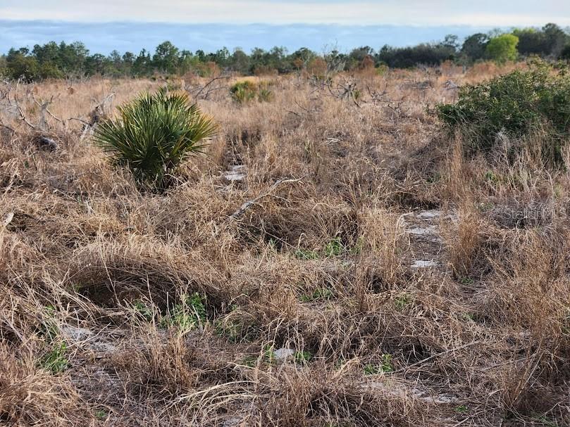W Frostproof Road #LOT 12 Frostproof FL 33843 G5091858 image20