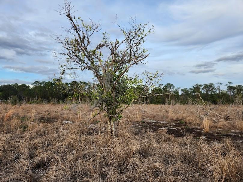 W Frostproof Road #LOT 12 Frostproof FL 33843 G5091858 image6