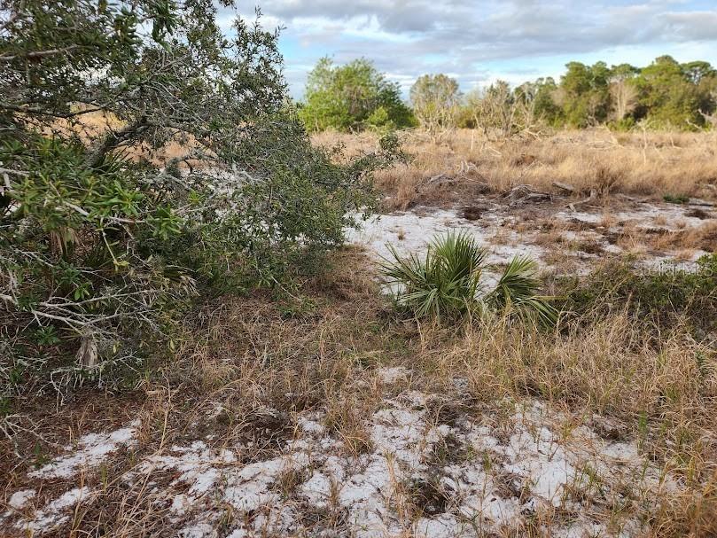W Frostproof Road #LOT 13 Frostproof FL 33843 G5091869 image10