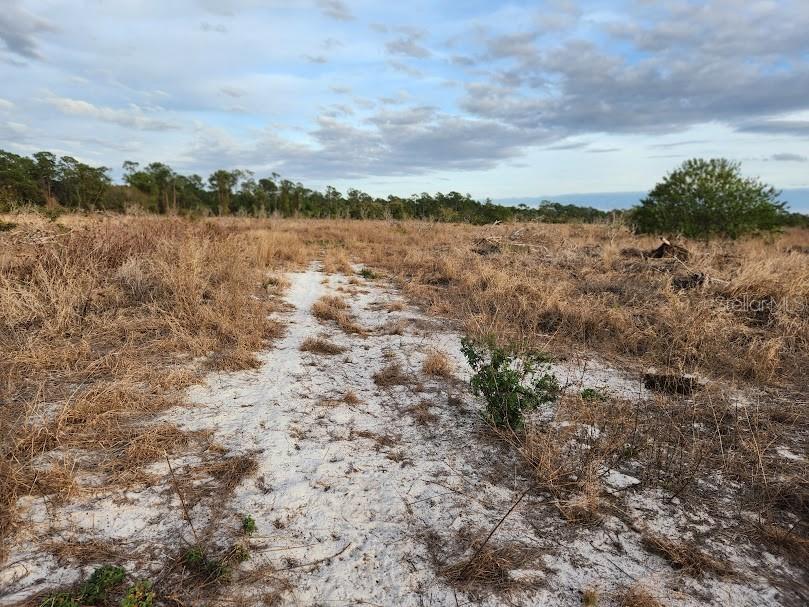W Frostproof Road #LOT 13 Frostproof FL 33843 G5091869 image12