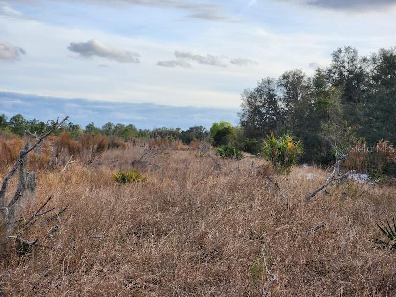W Frostproof Road #LOT 13 Frostproof FL 33843 G5091869 image13