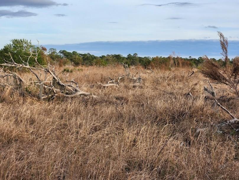 W Frostproof Road #LOT 13 Frostproof FL 33843 G5091869 image14