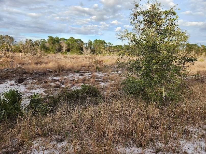 W Frostproof Road #LOT 13 Frostproof FL 33843 G5091869 image15