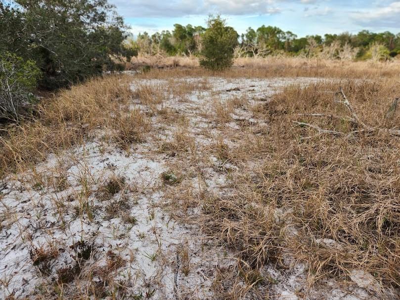 W Frostproof Road #LOT 13 Frostproof FL 33843 G5091869 image17