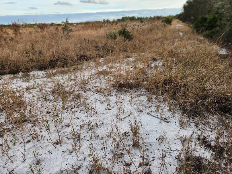 W Frostproof Road #LOT 13 Frostproof FL 33843 G5091869 image18