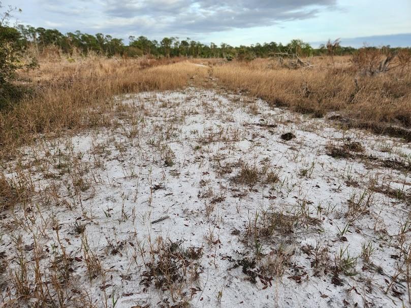 W Frostproof Road #LOT 13 Frostproof FL 33843 G5091869 image19