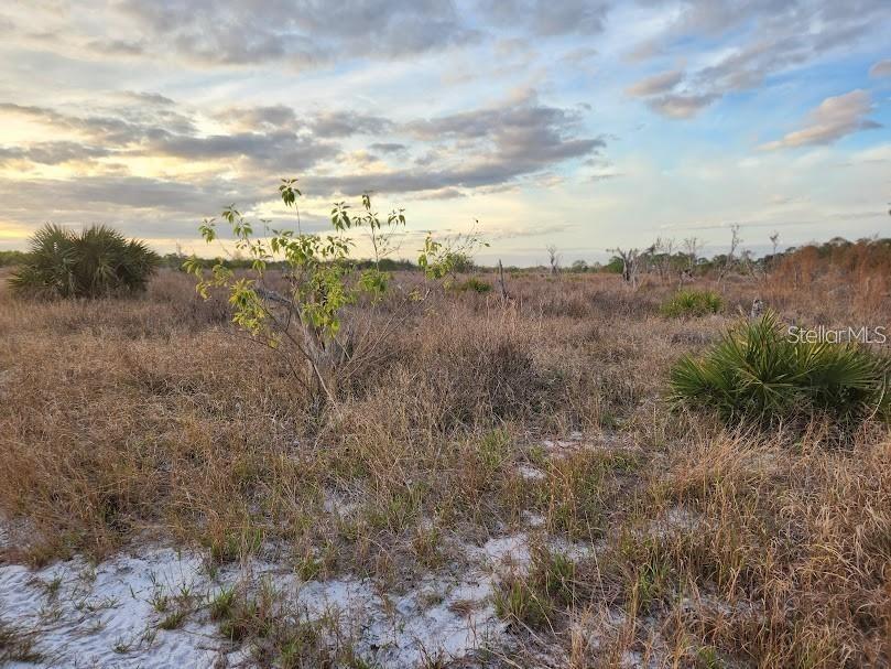 W Frostproof Road #LOT 13 Frostproof FL 33843 G5091869 image22