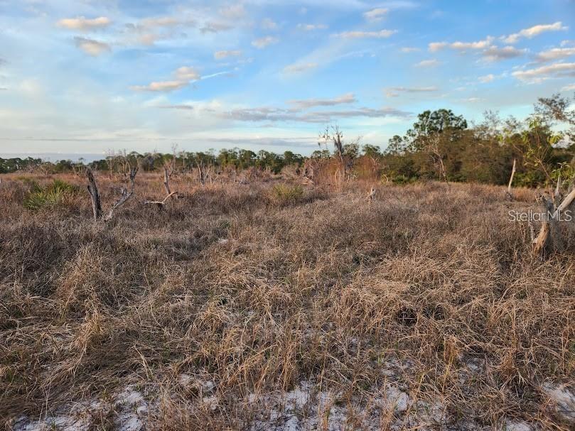 W Frostproof Road #LOT 13 Frostproof FL 33843 G5091869 image24
