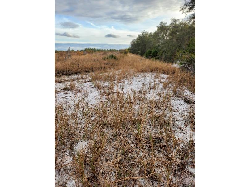 W Frostproof Road #LOT 13 Frostproof FL 33843 G5091869 image28