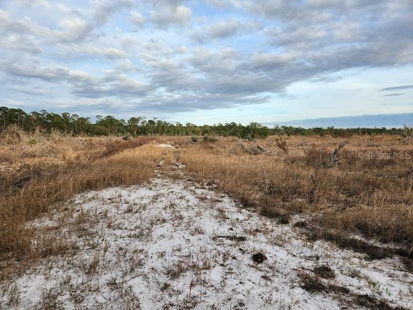 W Frostproof Road #LOT 13 Frostproof FL 33843 G5091869 image6